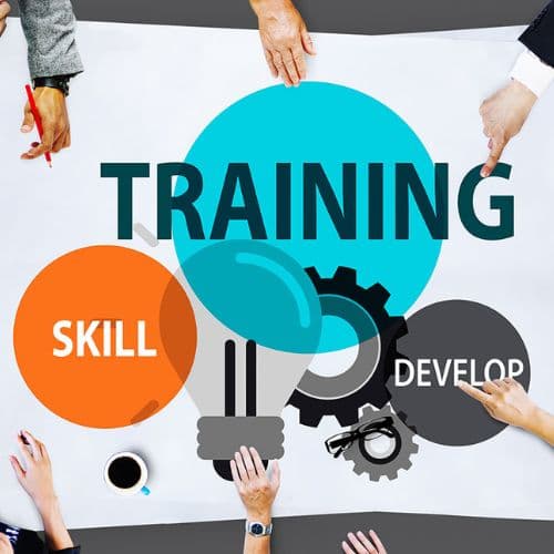 trainingNdevelopment